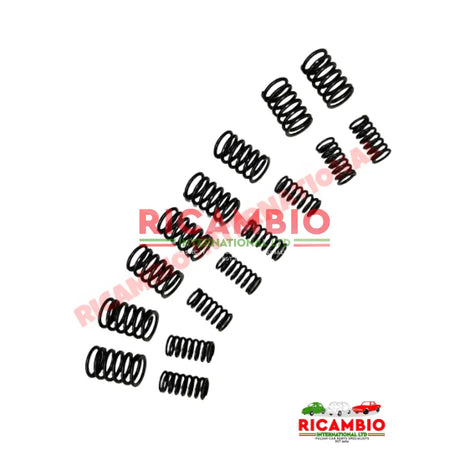Valve Spring Kit - Lancia Fulvia 1.3 - Lancia Fulvia Engine Components