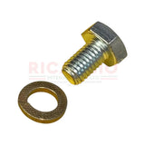 Wheel Bolt & Spring Washer (SHORT 22mm) - Classic Fiat 500,126