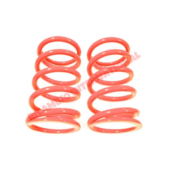 Lowered Rear Coil Spring Kit - Fiat 600