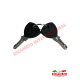 Pair of Door Barrels & Keys with Lancia Keys - Lancia Fulvia