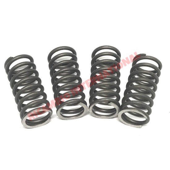 Complete Kit of Valve Springs - Classic Fiat 500