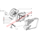 Radiator Fan Motor Assembly - Fiat 126